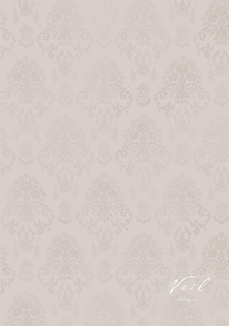 Veil Chapter 17 Page 7