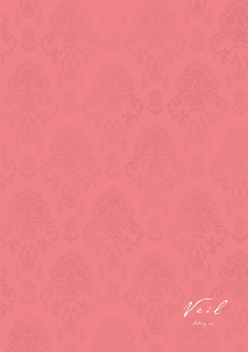 Veil Chapter 21 Page 12