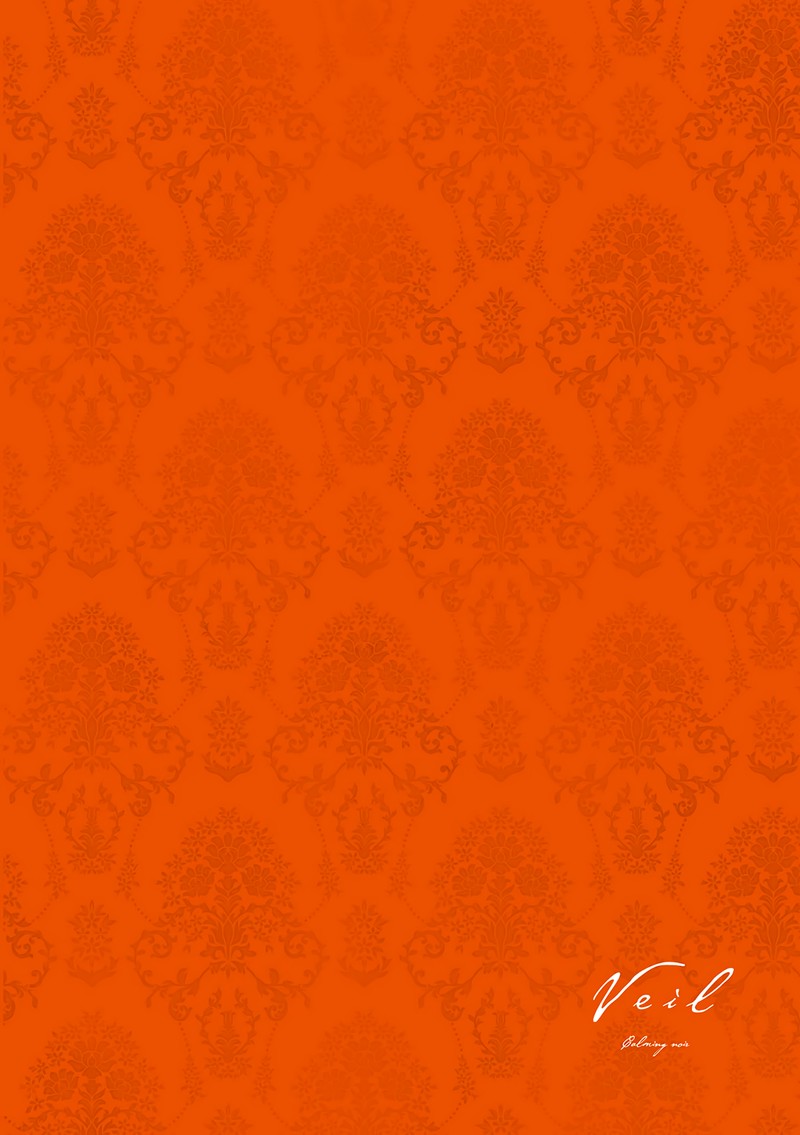 Veil Chapter 22 Page 8