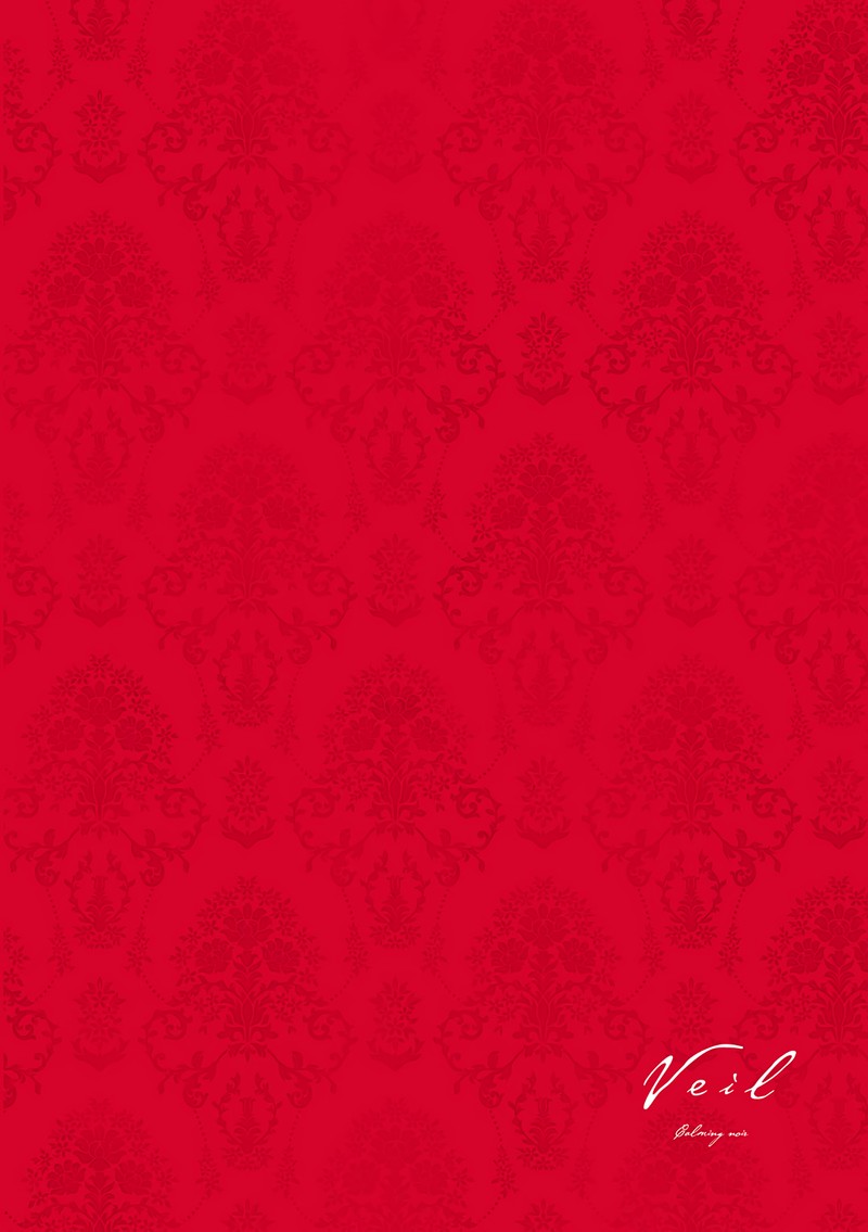 Veil Chapter 24 Page 10