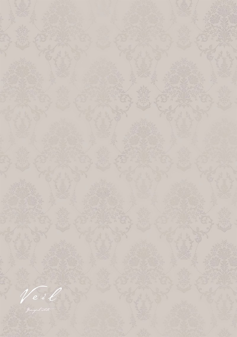 Veil Chapter 29 Page 8