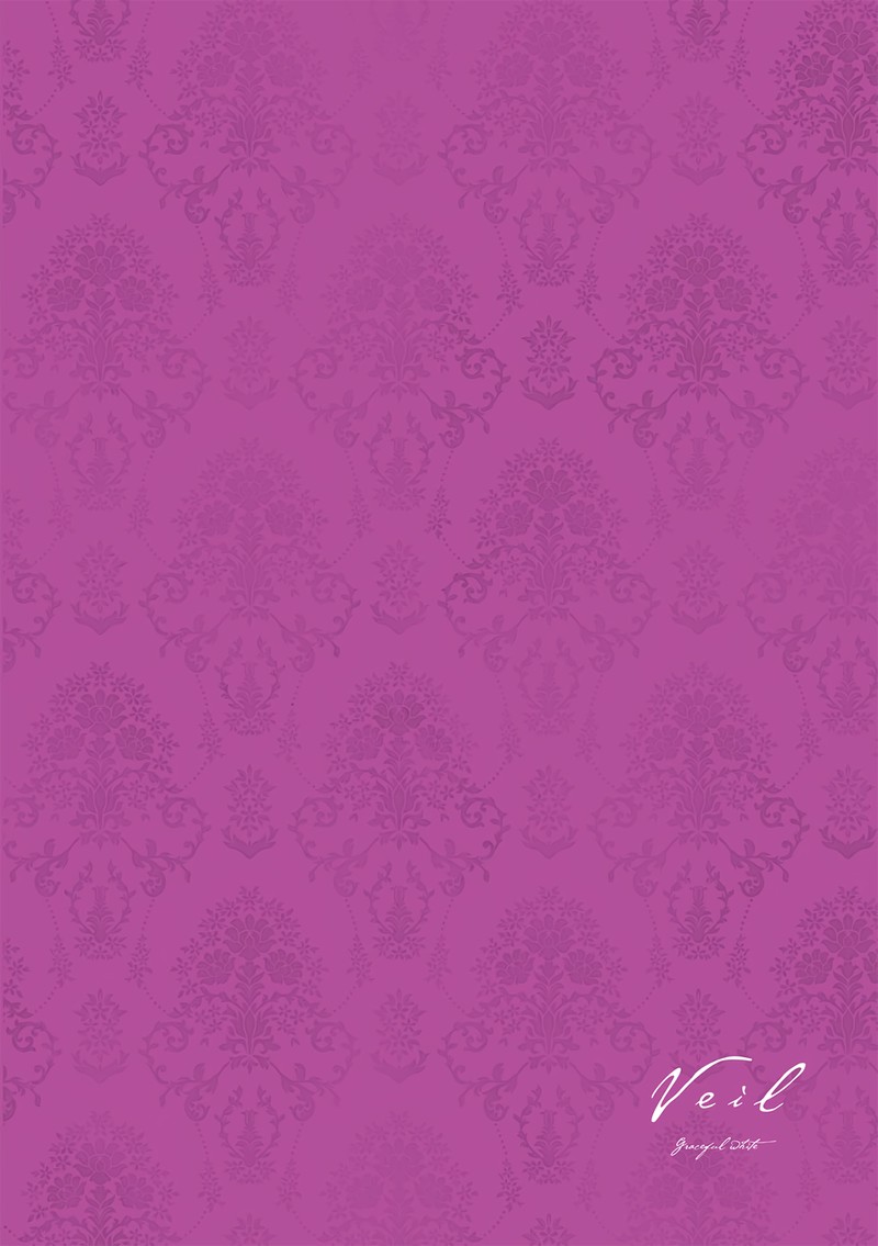 Veil Chapter 33 Page 12