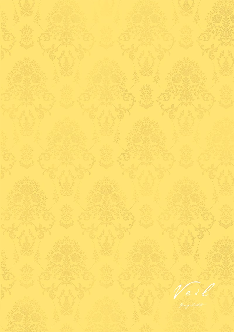 Veil Chapter 34 Page 14