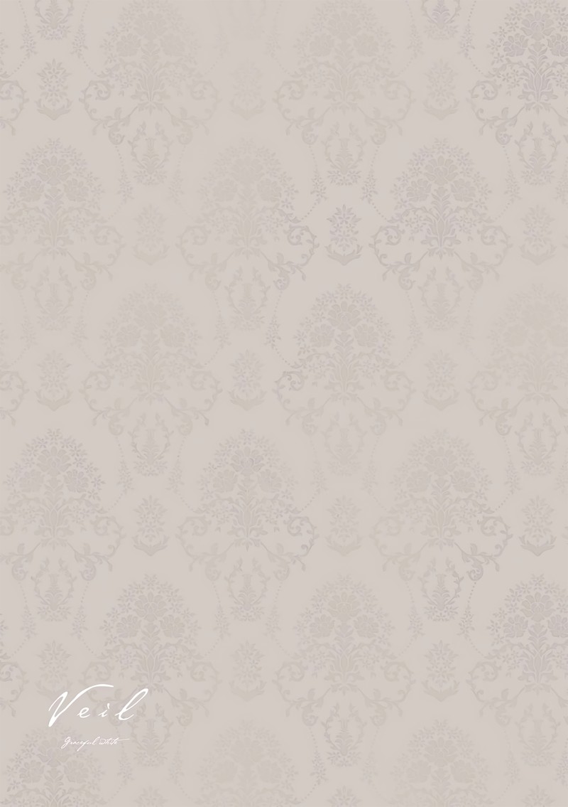 Veil Chapter 35 Page 15