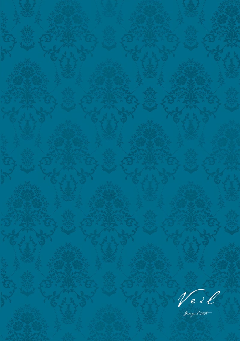 Veil Chapter 35 Page 17