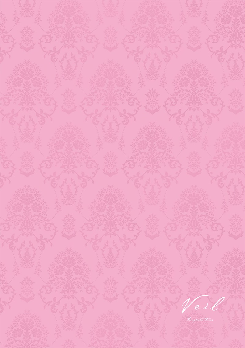 Veil Chapter 37 Page 17