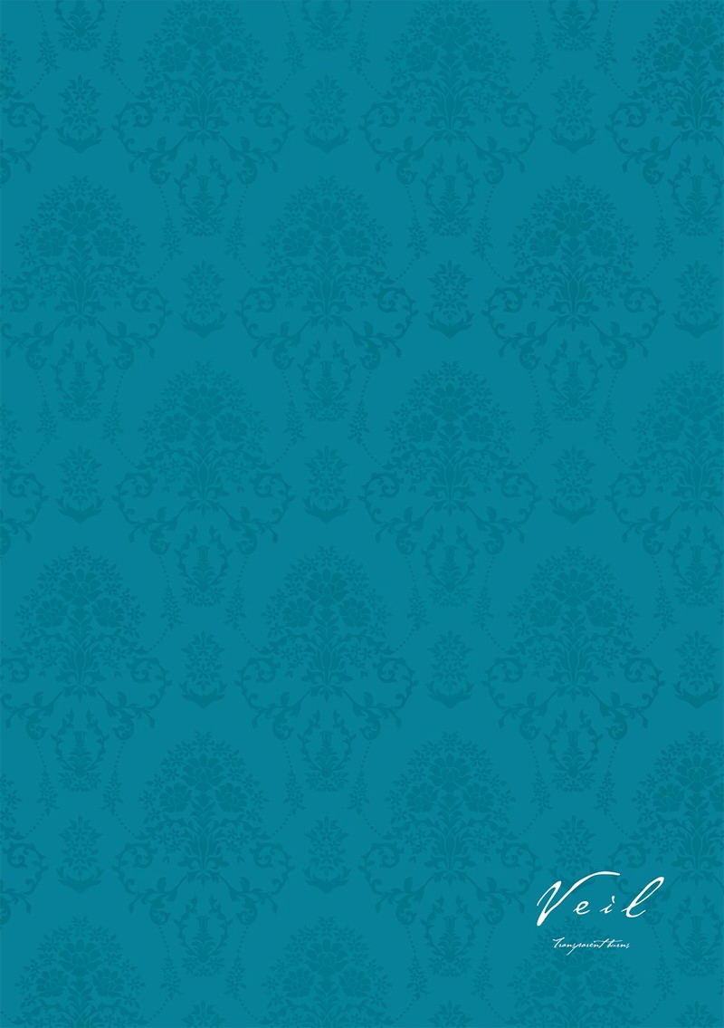 Veil Chapter 43 Page 14