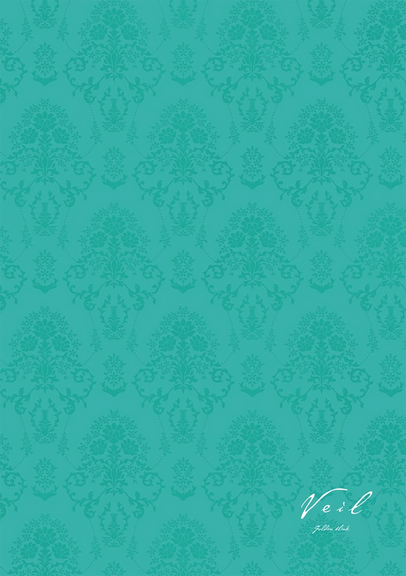 Veil Chapter 46 Page 17