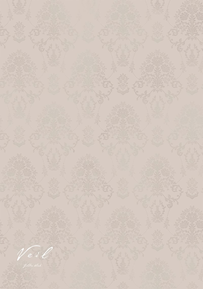 Veil Chapter 50 Page 9