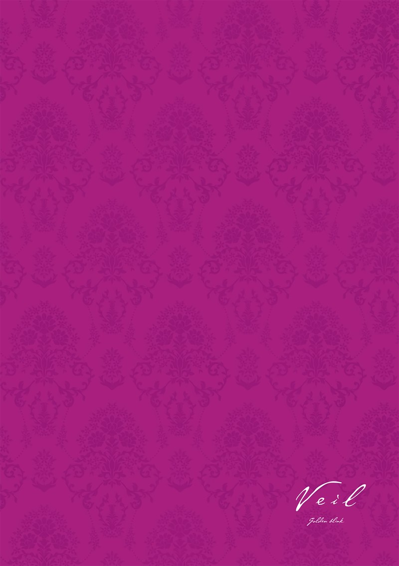 Veil Chapter 53 Page 10