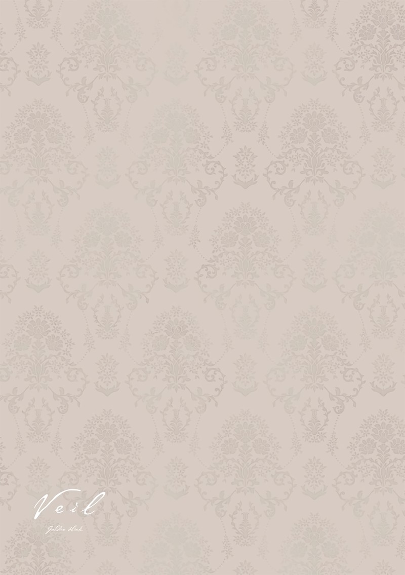 Veil Chapter 54 Page 13