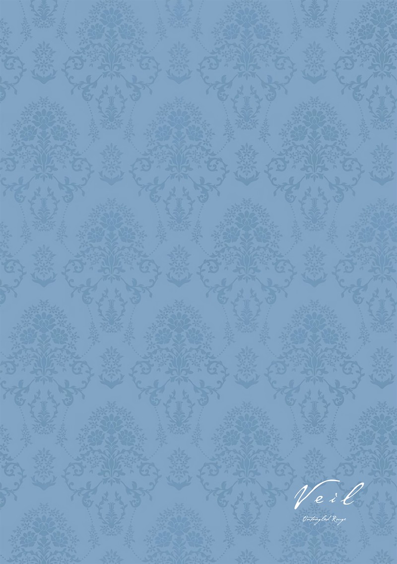 Veil Chapter 59 Page 6