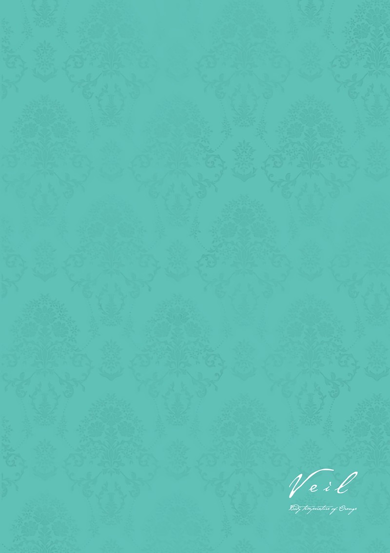 Veil Chapter 6 Page 10