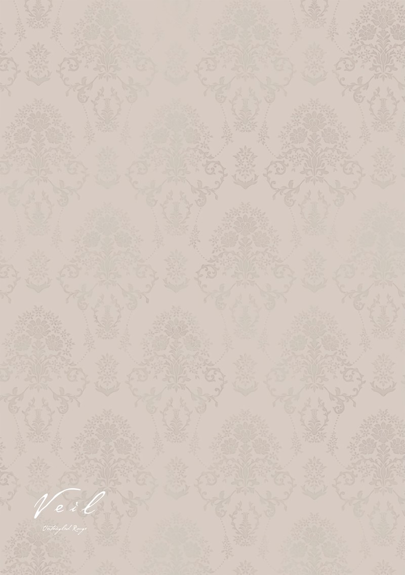 Veil Chapter 61 Page 9