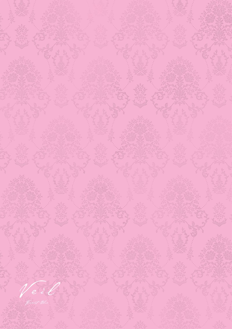 Veil Chapter 69 Page 9