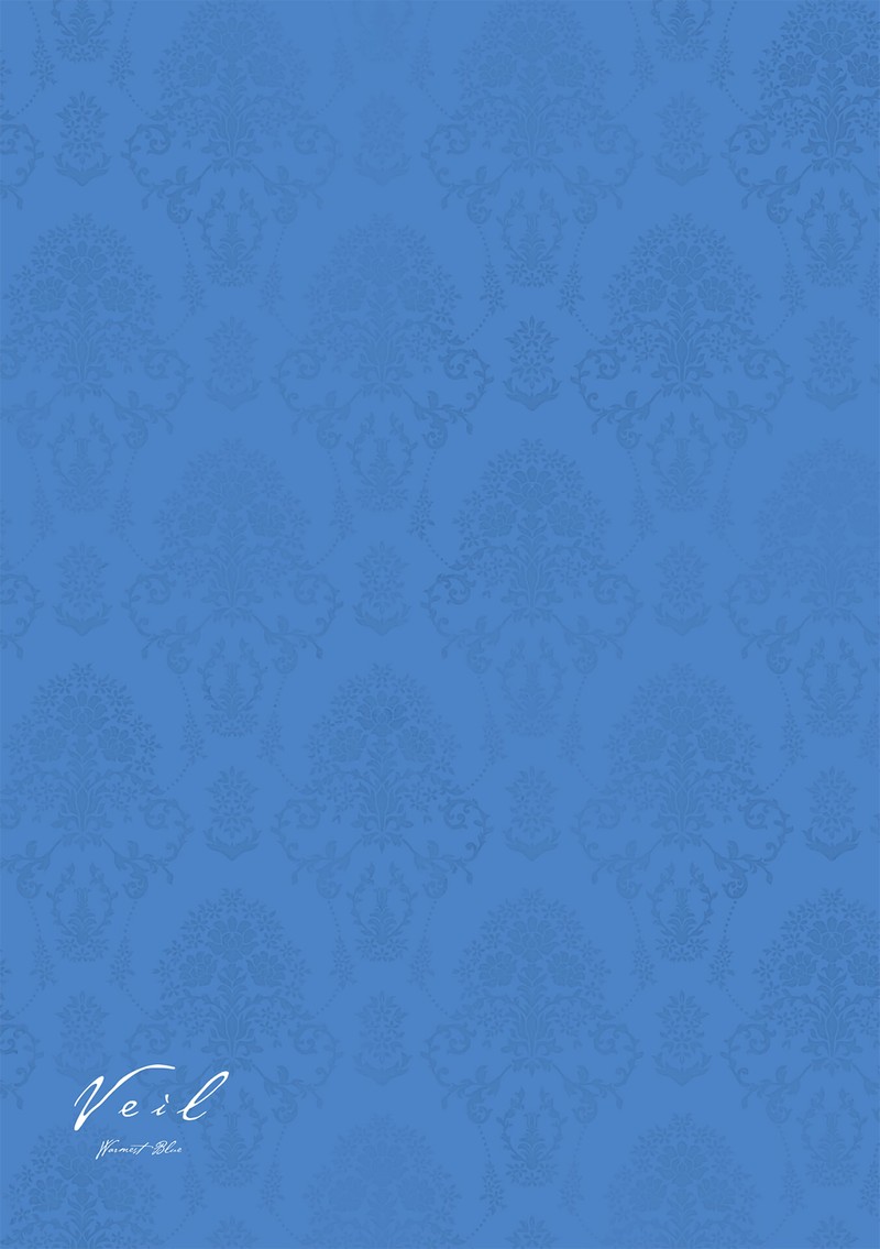 Veil Chapter 73 Page 11