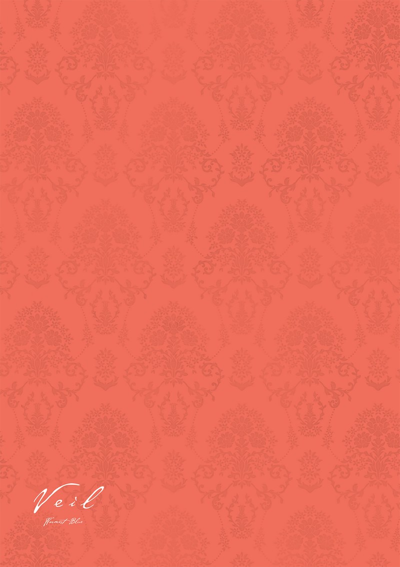 Veil Chapter 75 Page 9