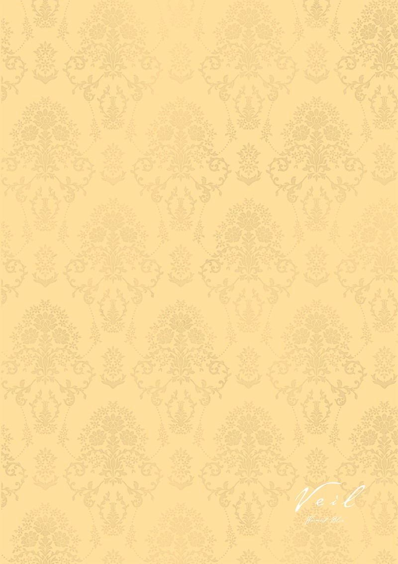 Veil Chapter 76 Page 13