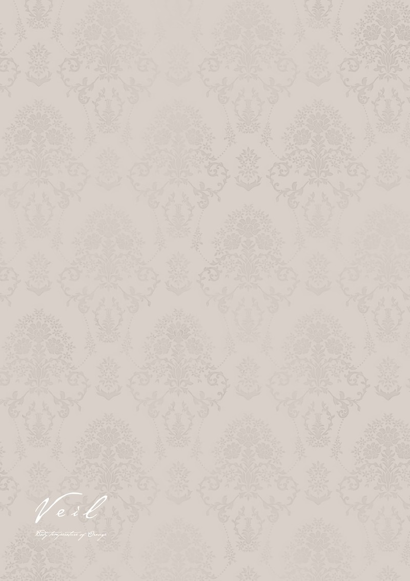 Veil Chapter 8 Page 8