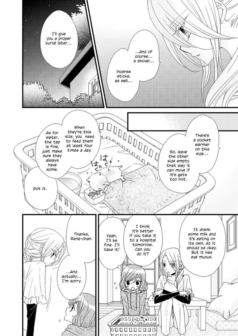 Watashi No KawaII Koneko Chan Chapter 1 Page 6