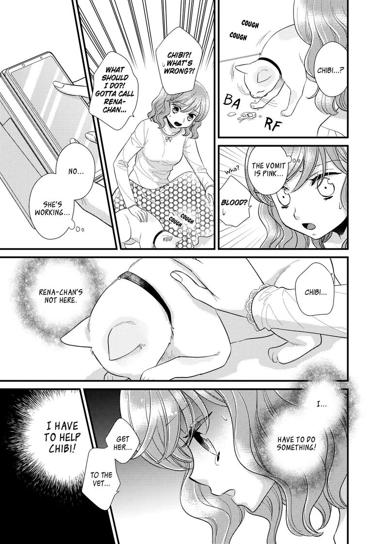 Watashi No KawaII Koneko Chan Chapter 16 Page 8