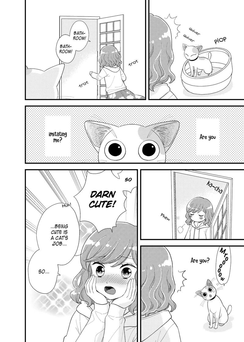 Watashi No KawaII Koneko Chan Chapter 18e Page 2