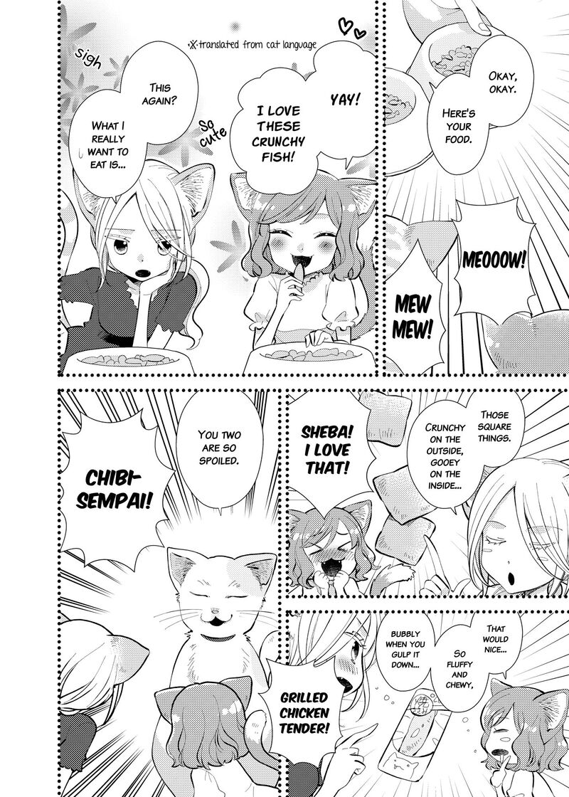 Watashi No KawaII Koneko Chan Chapter 8 Page 3