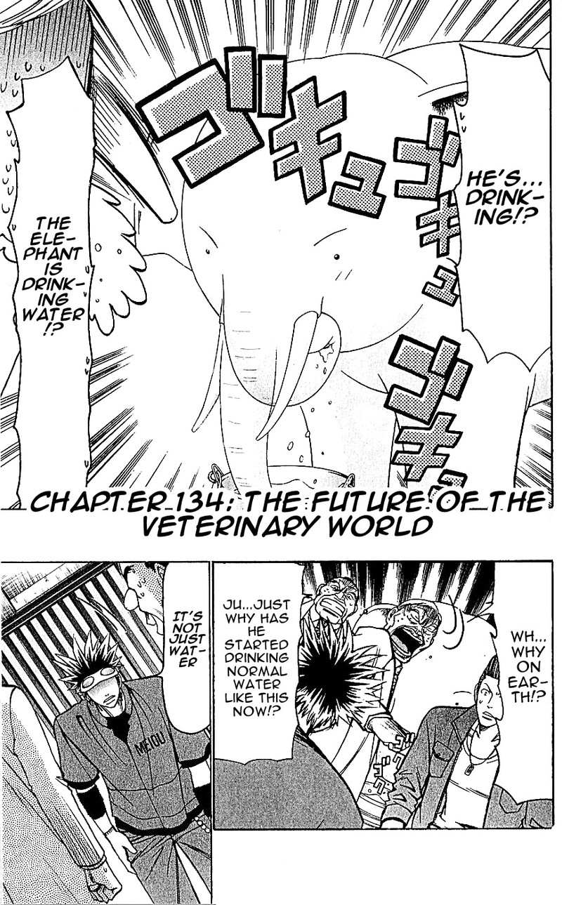Wild Life Chapter 134 Page 1