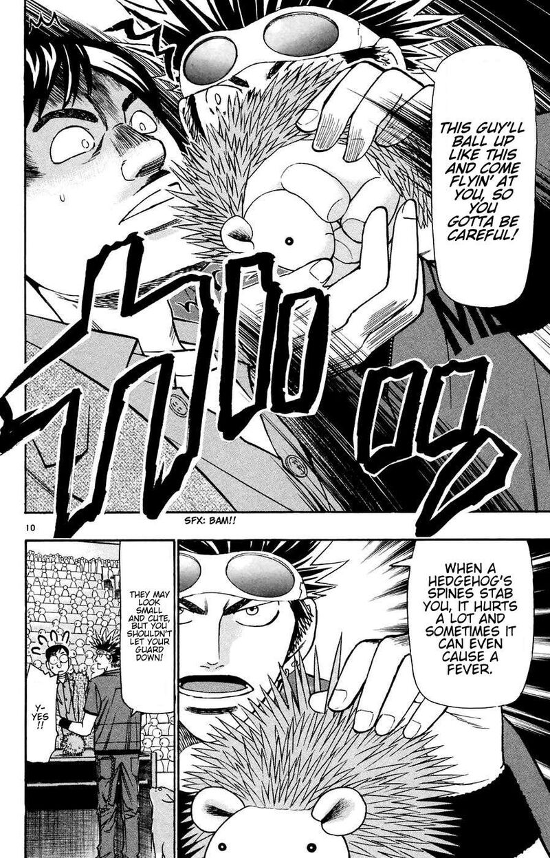 Wild Life Chapter 163 Page 10