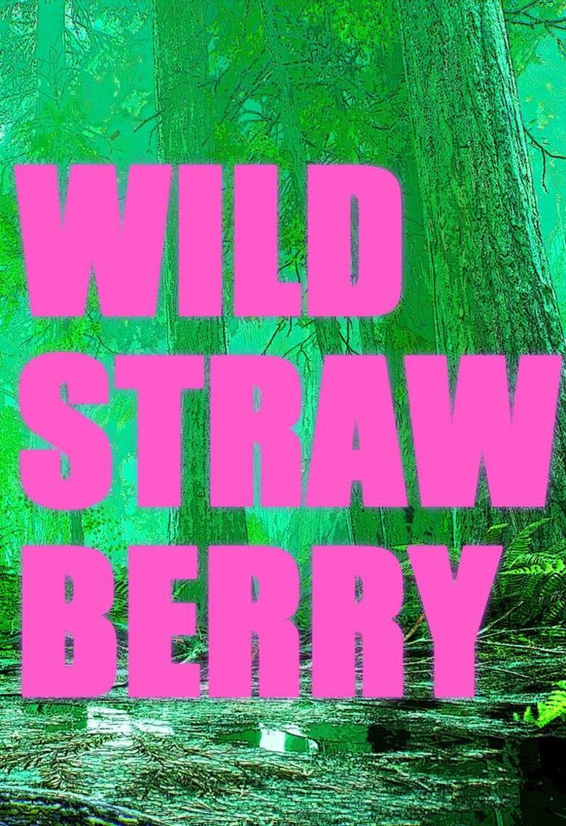 Wild Strawberry Chapter 41e Page 1