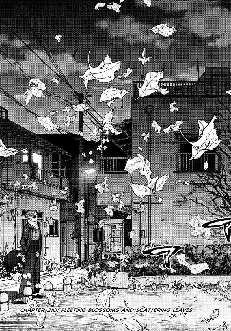 Wind Breaker Japan Chapter 210 Page 3