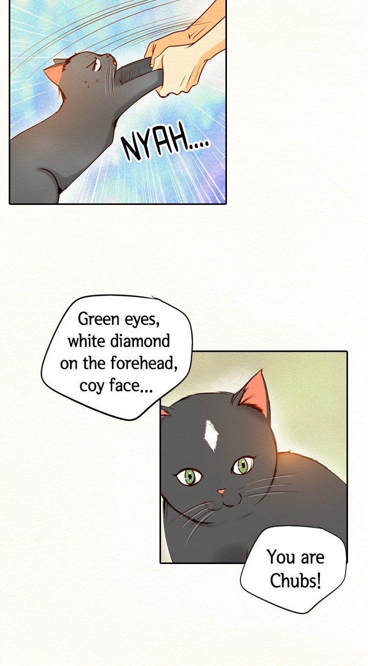 Witch Workshop Chapter 51 Page 33