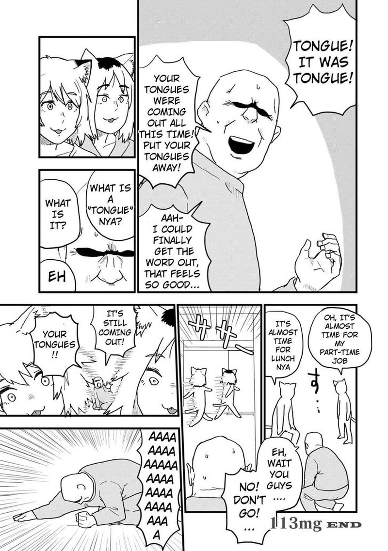 Yani Neko Chapter 113 Page 5
