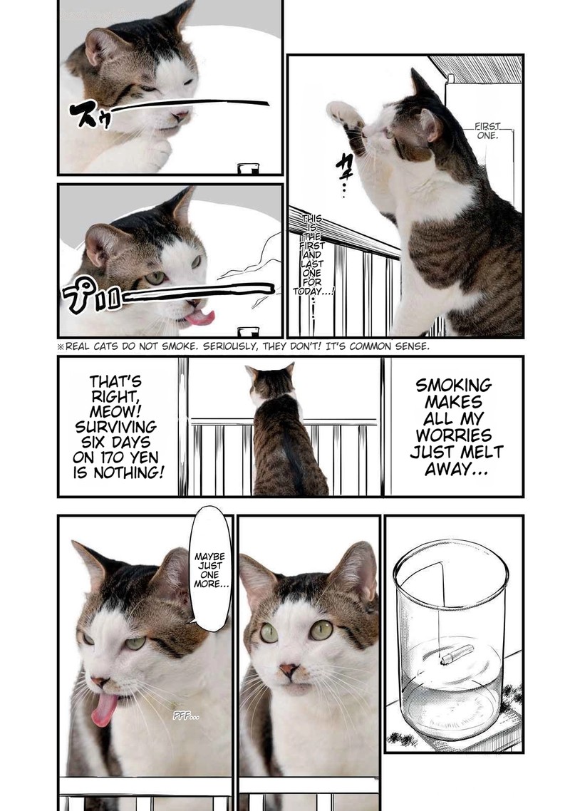 Yani Neko Chapter 141a Page 2