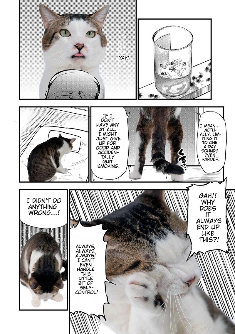 Yani Neko Chapter 141a Page 3