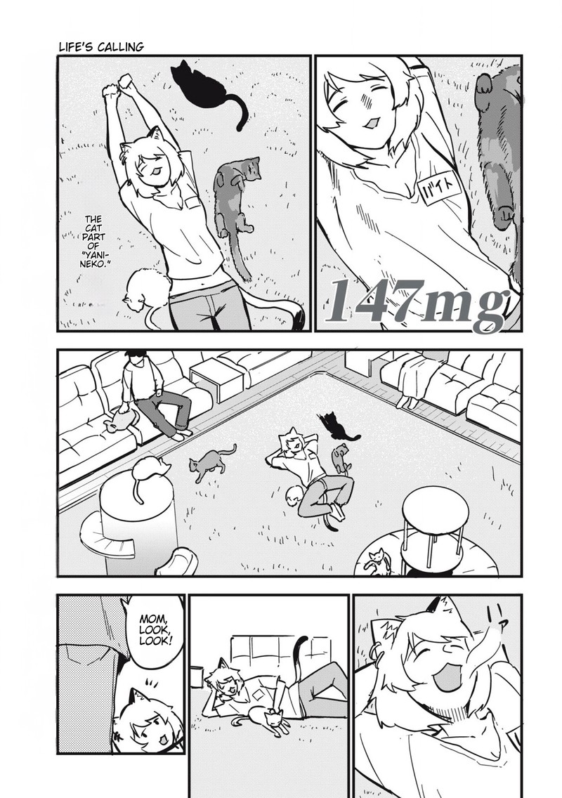 Yani Neko Chapter 147 Page 1