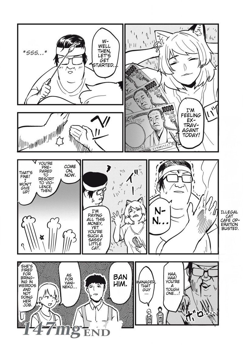 Yani Neko Chapter 147 Page 4