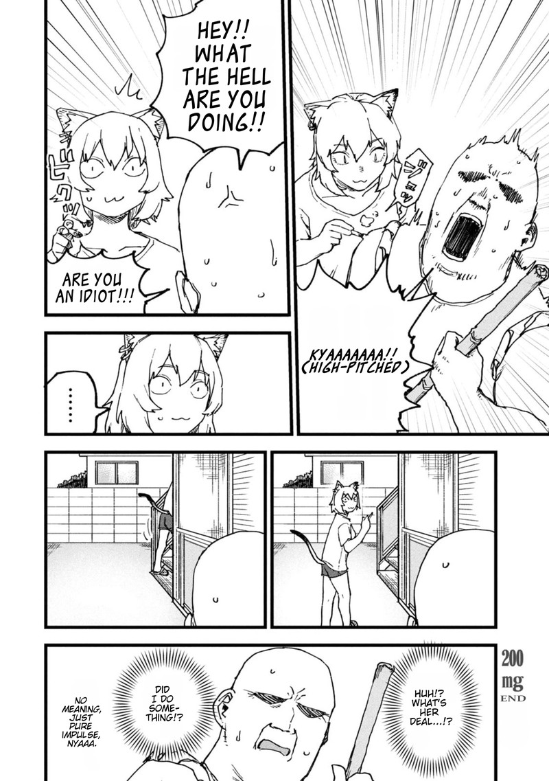 Yani Neko Chapter 200 Page 4