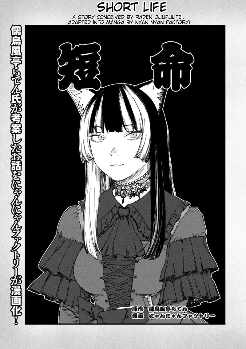 Yani Neko Chapter 218a Page 2