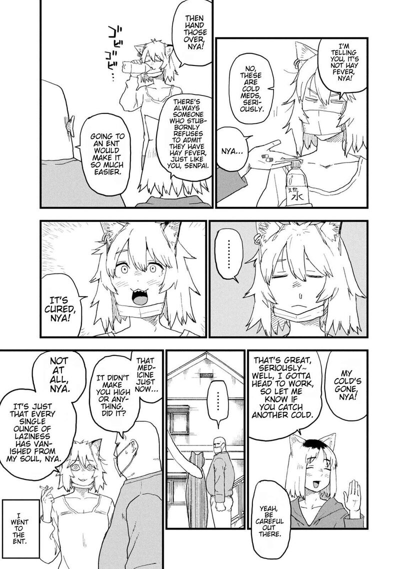 Yani Neko Chapter 254 Page 3