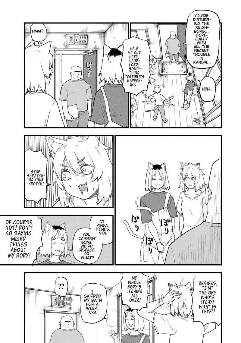 Yani Neko Chapter 263 Page 3
