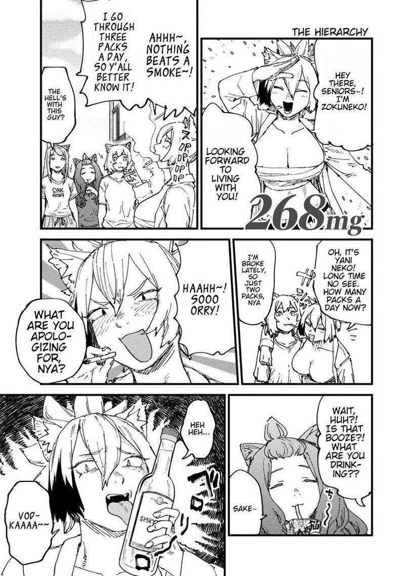 Yani Neko Chapter 268 Page 1