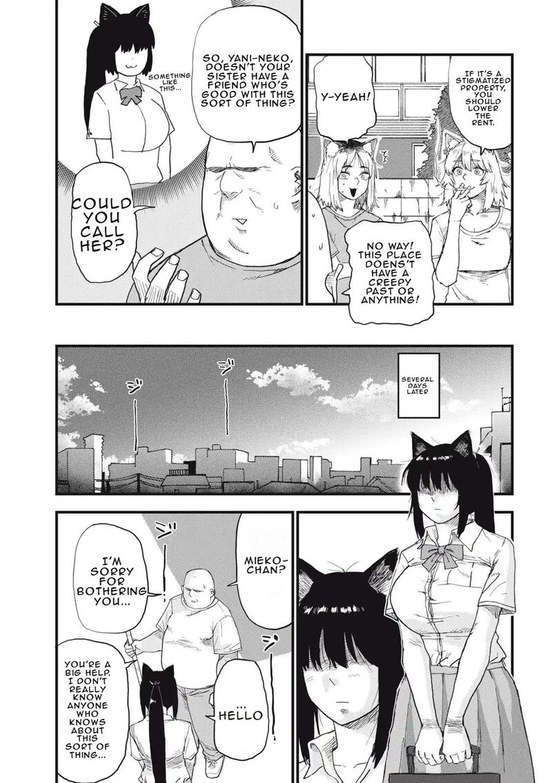 Yani Neko Chapter 271 Page 3