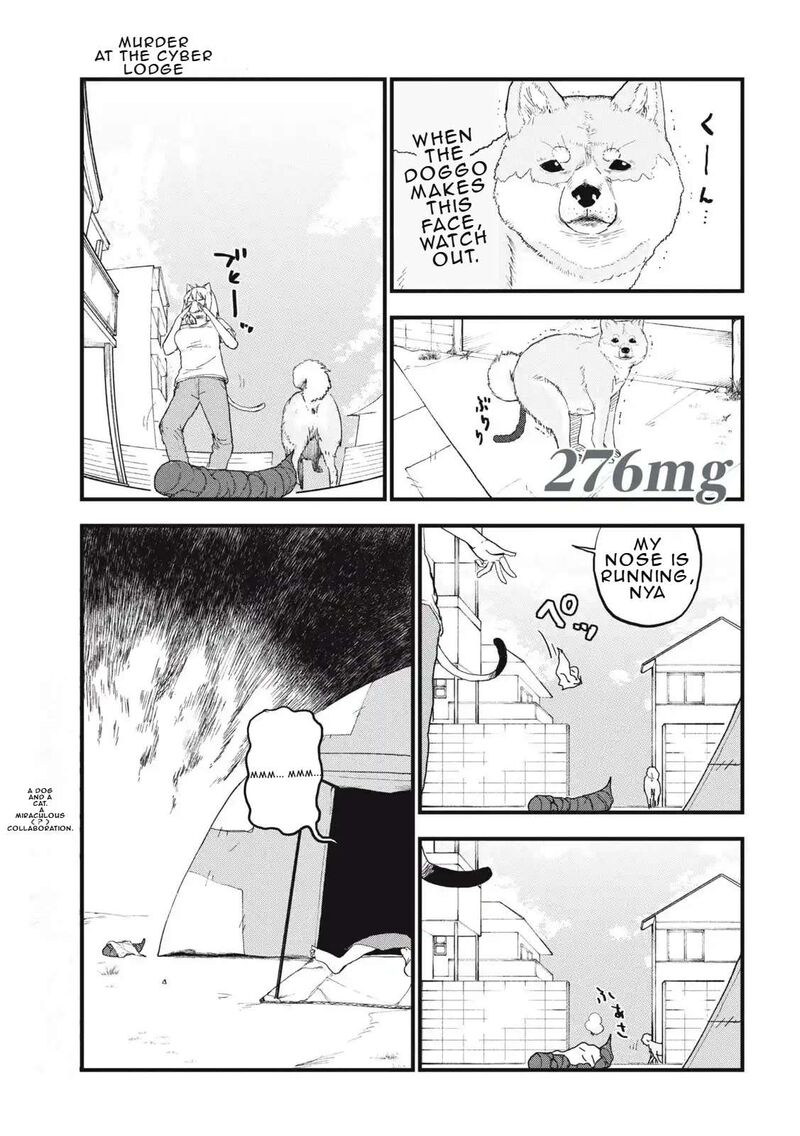 Yani Neko Chapter 276 Page 1