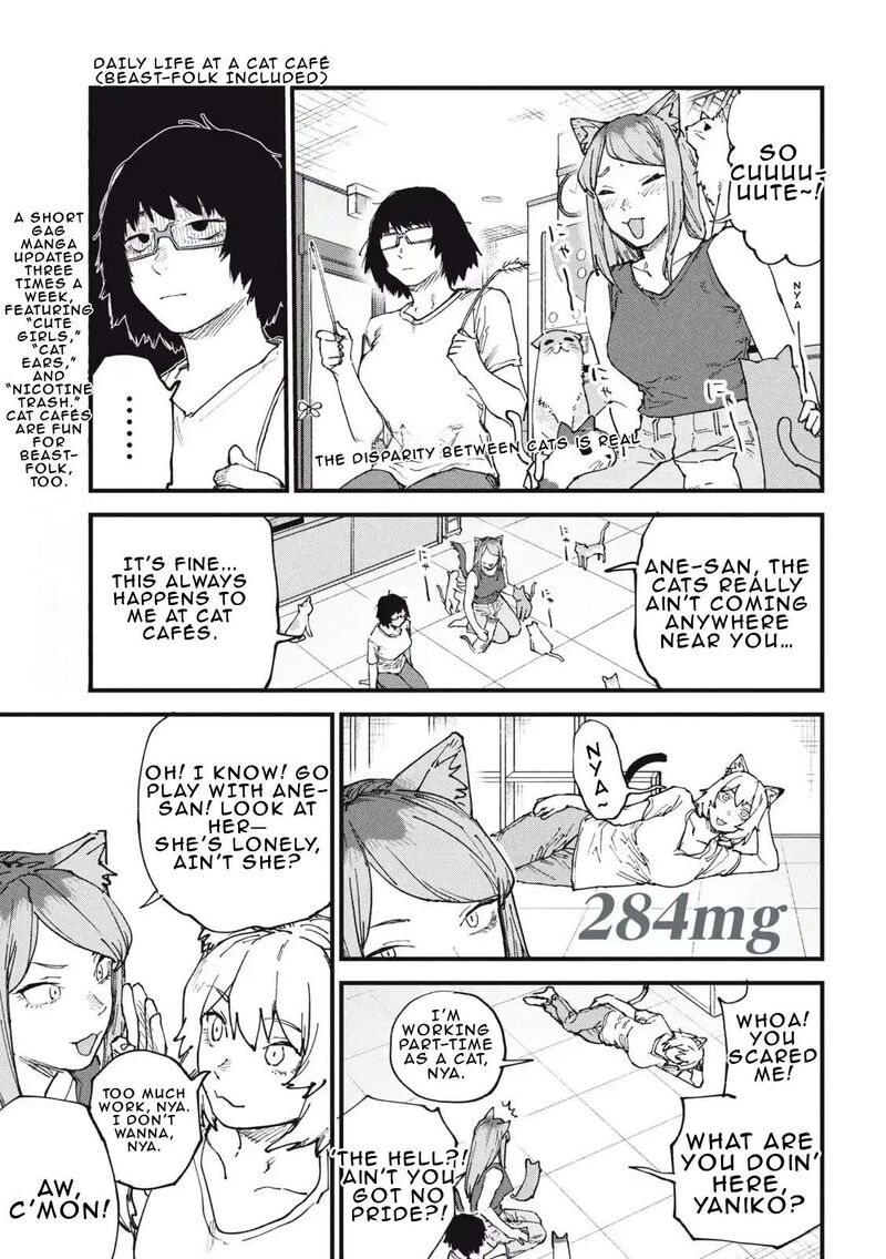 Yani Neko Chapter 284 Page 1
