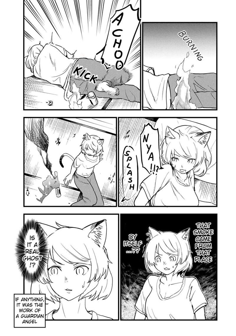Yani Neko Chapter 304 Page 3