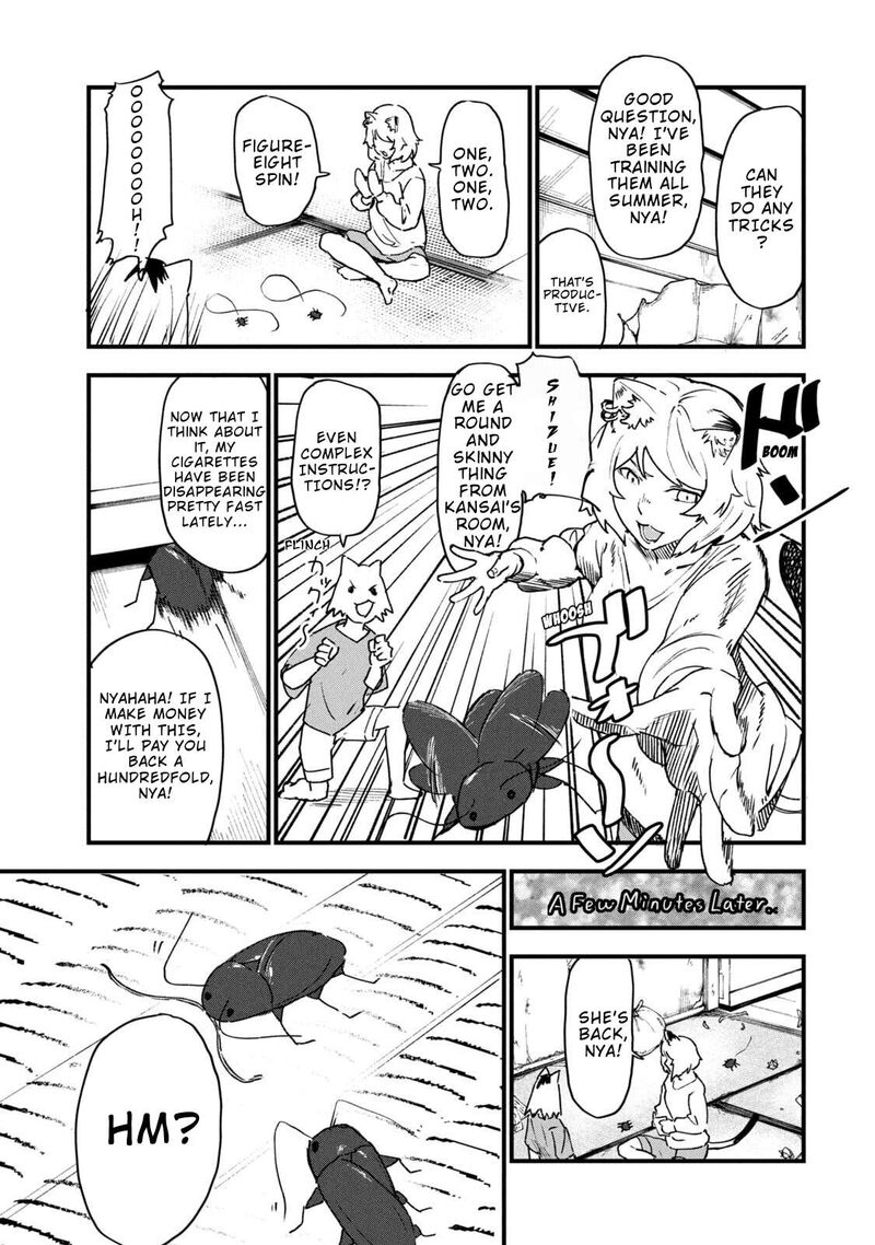 Yani Neko Chapter 307 Page 3