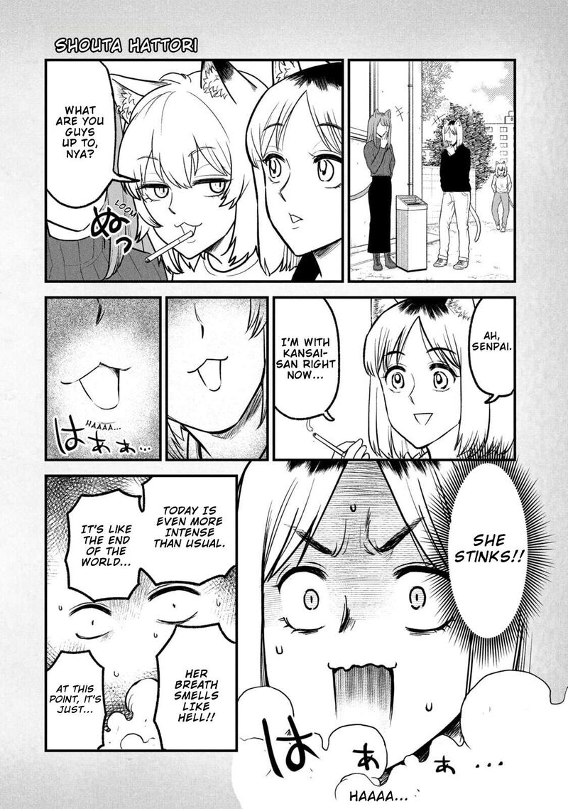 Yani Neko Chapter 324e Page 5