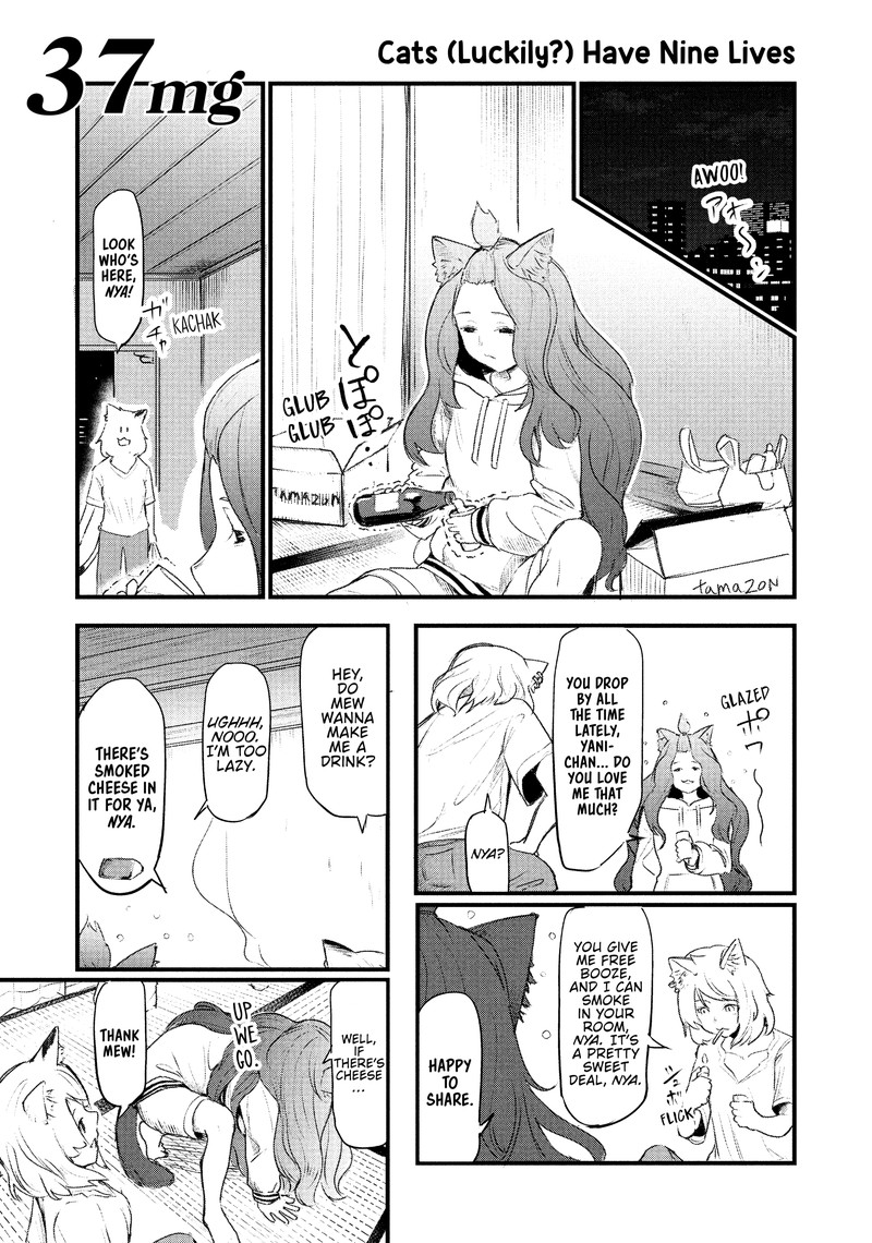 Yani Neko Chapter 37 Page 1
