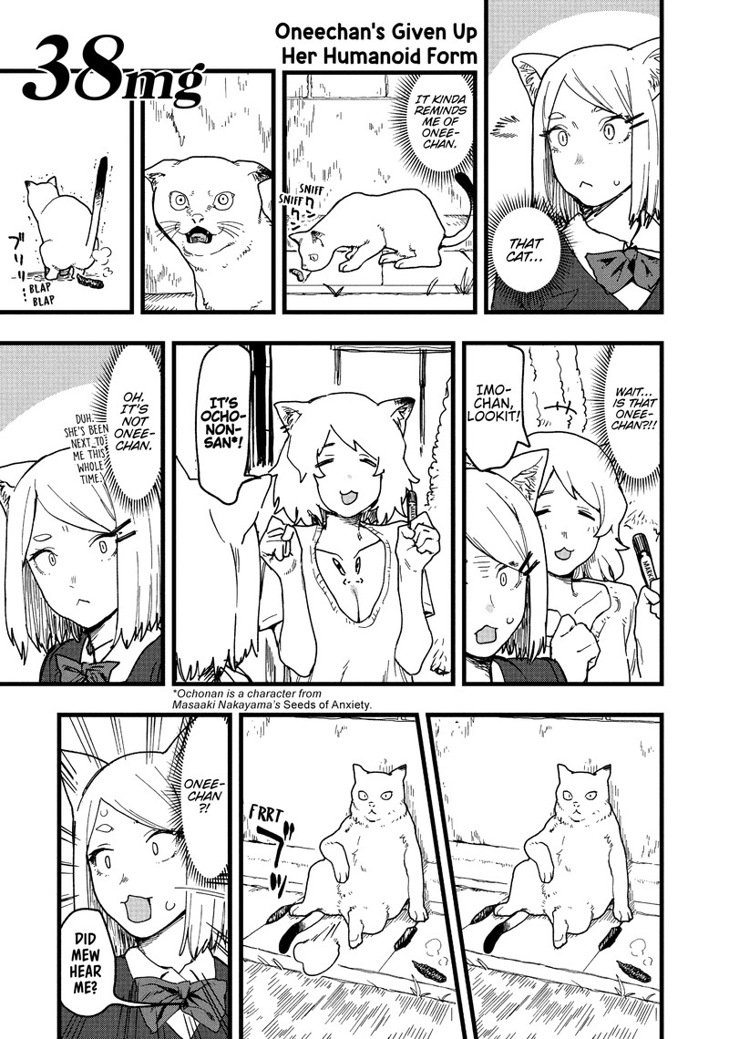 Yani Neko Chapter 38 Page 1